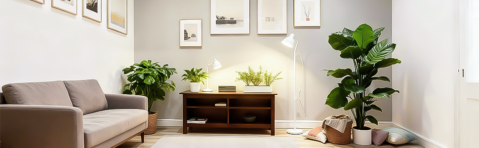 indoor decoration for home