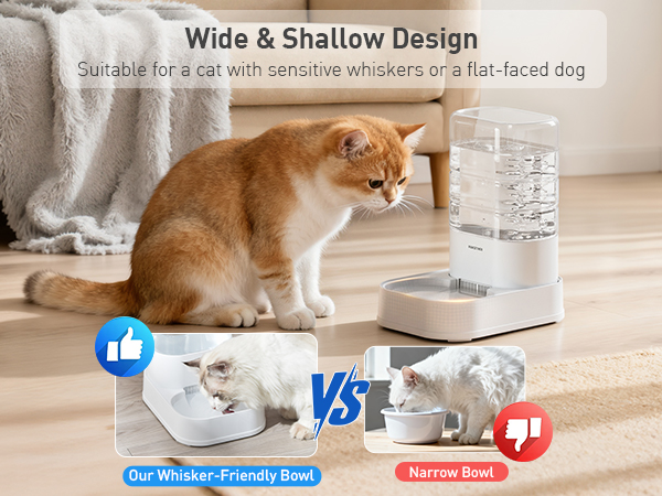 automatic dog feeder and water