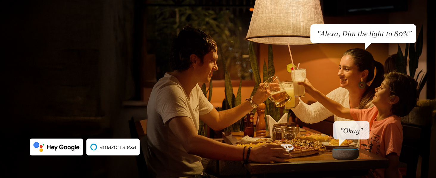 smart dimmer light switch