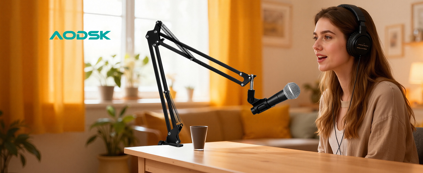 mic stand