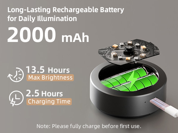 picture light battery operated