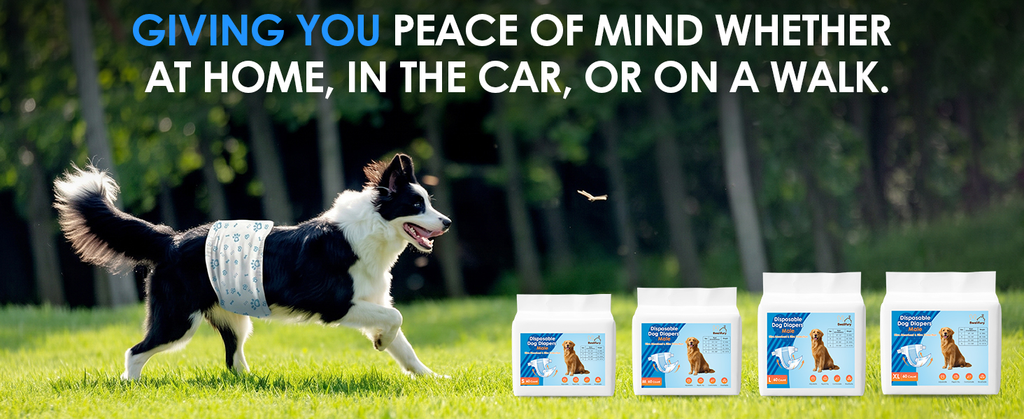 GIVING YOU PEACE OF MIND WHETHERAT HOME, IN THE CAR, OR ON A WALK.