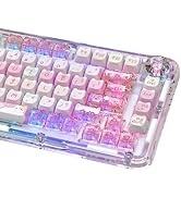 TYRIXKI 26 Keys Crystal Jelly Personalized Keycaps, PC Material Cute Meow Meow Squad Transparent ...