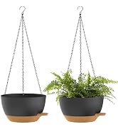 SQKH 12 Inch Hanging Baskets 2 PC with Chains, Self-Watering Hanging Planters for Indoor Outdoor ...