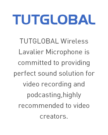 mini mic