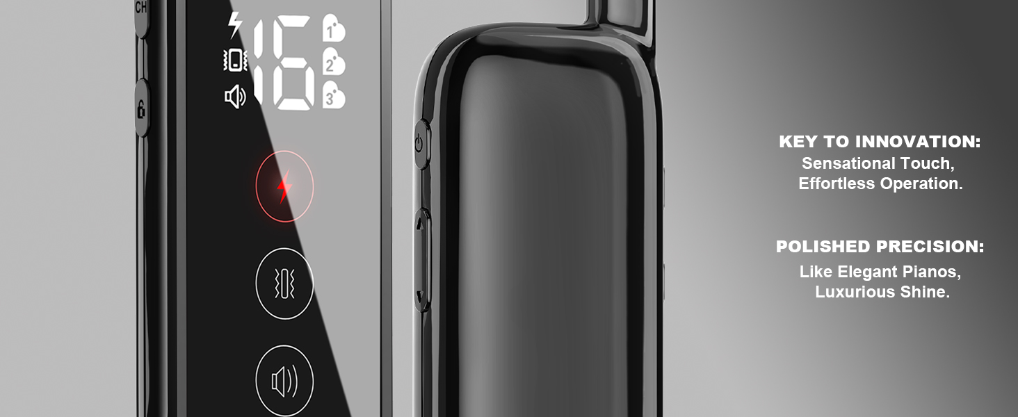 dog training collar with remote training collar for dogs