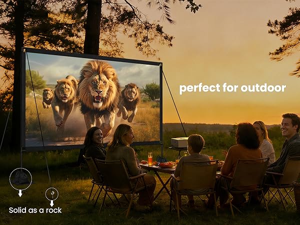 Outdoor projector screen