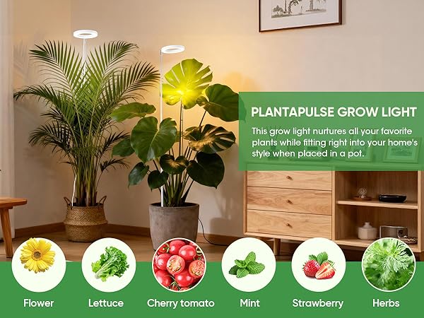  Grow Light for Indoor Plants,