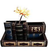Tosnail Decorative Pen Holder with Storage Compartment, Wooden Pencil Holder and Organizer, Antiq...