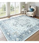 Lofus 5x7 Area Rugs for Living Room, Machine Washable Non-Slip Area Rug, Low Pile Large Rugs for ...