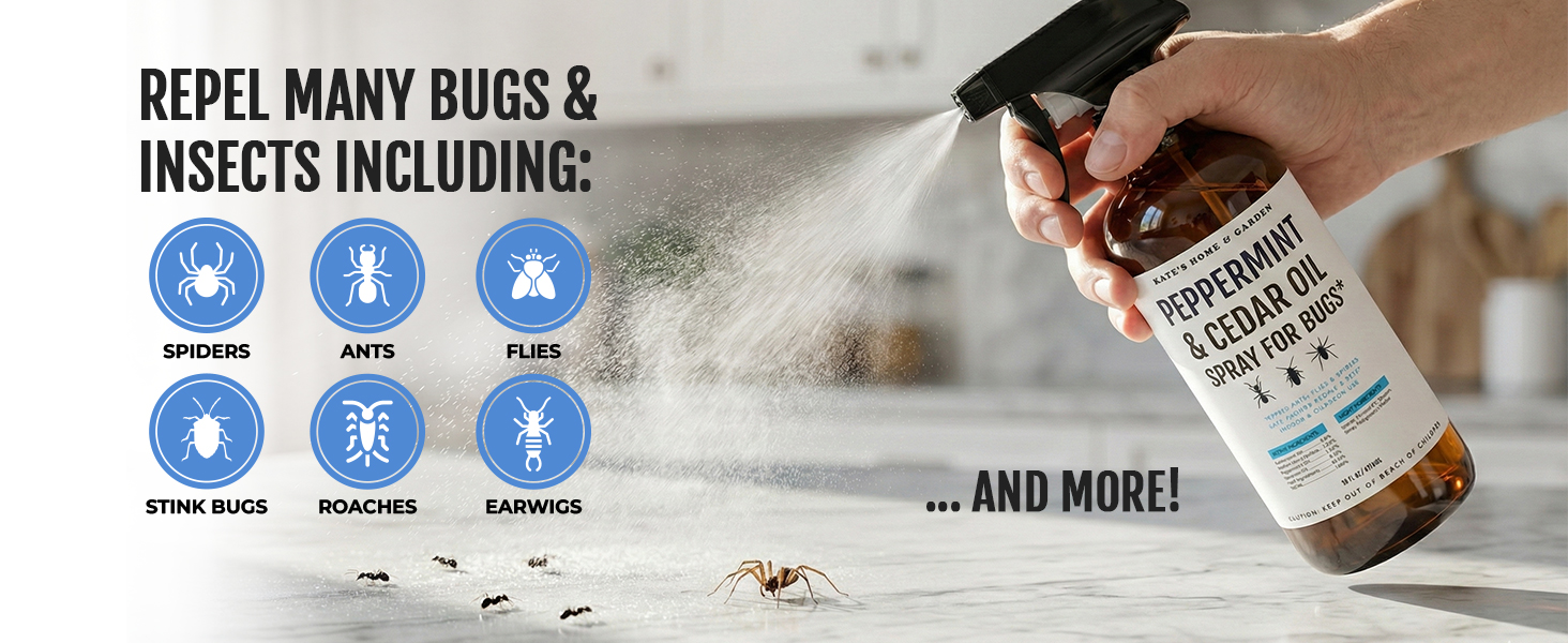 insect repellent spray bugs spiders ants flies stink roaches earwigs moths silverfish
