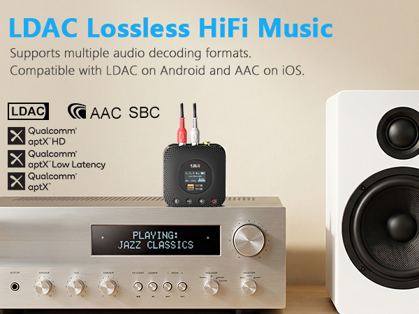 LDAC HiFi Audio