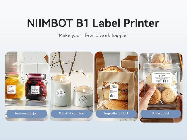 niimbot label maker b1 for small business