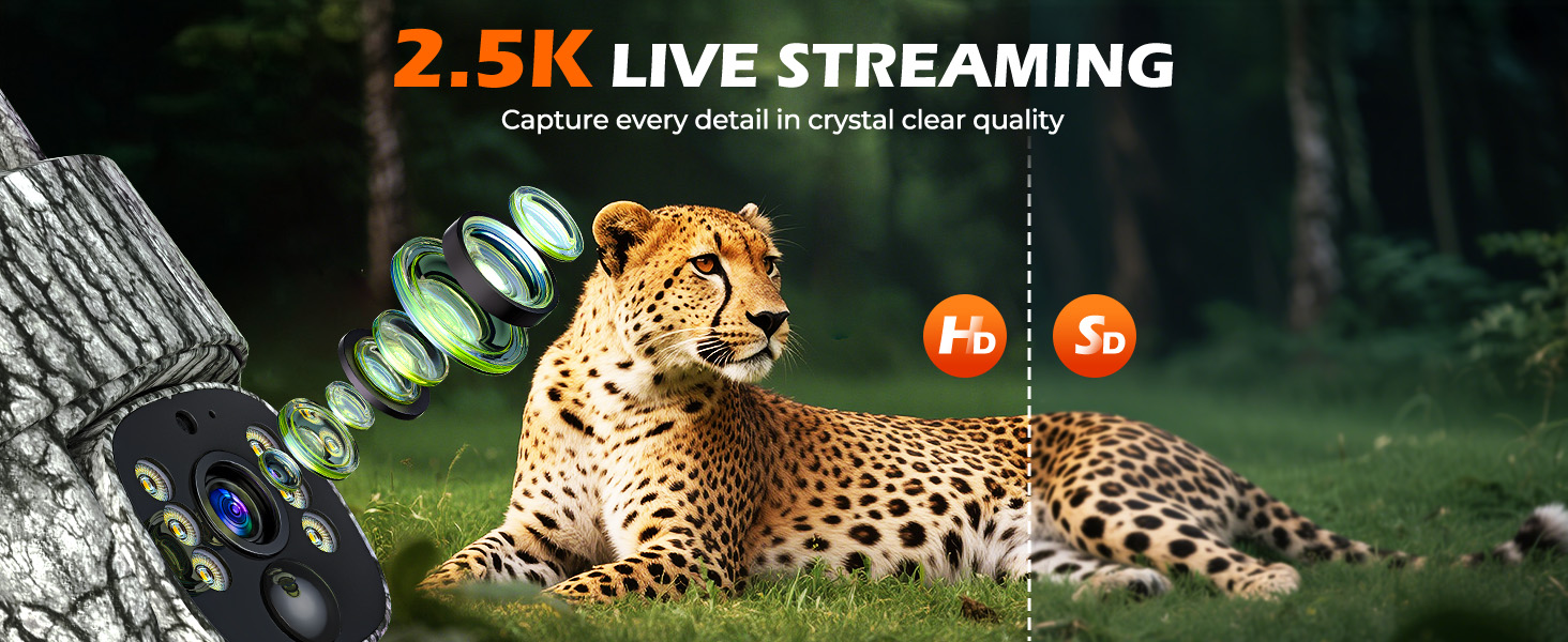 This 2.5K live streaming trail camera captures wildlife details in crystal clear quality