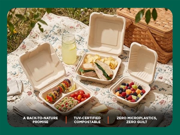 Take Out containers Leak free 6 inch Heavy duty Clamshell
