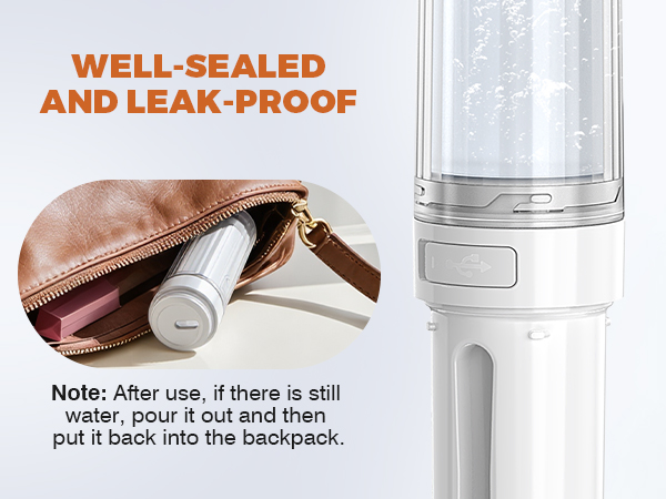 portable bidet for toilet