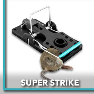 strength pack flip mousetraps garage chipmonk miuse mous catching baited intruder hidden trapper