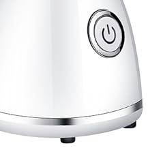 face steamer