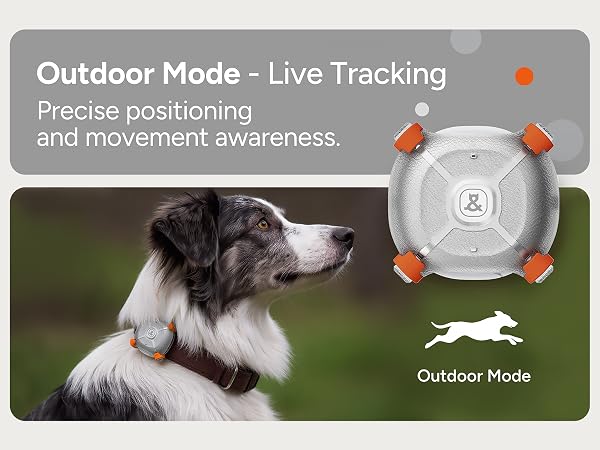 Dog &amp;amp; Cat GPS Tracker