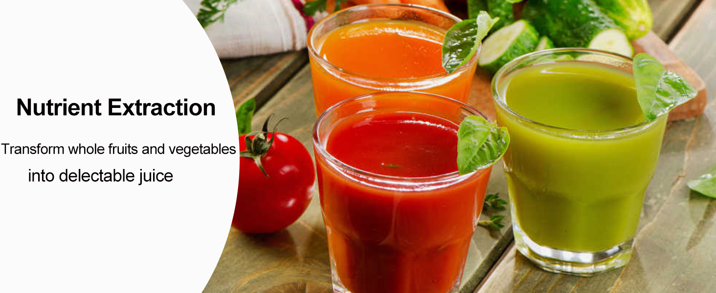 Personal Mini Blender