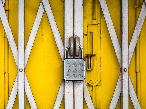 Sheds Garage Door