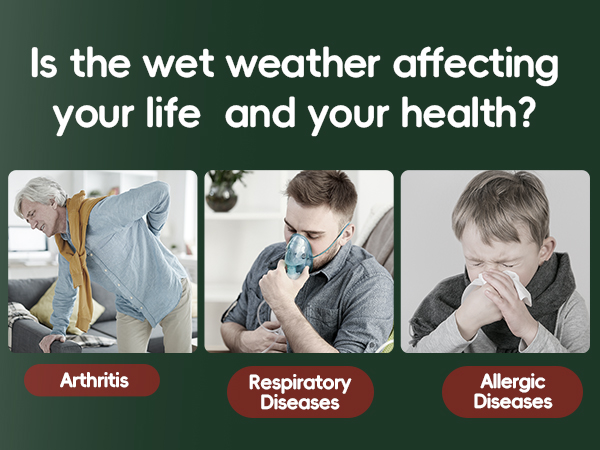 Dehumidifier