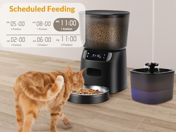 cat feeder