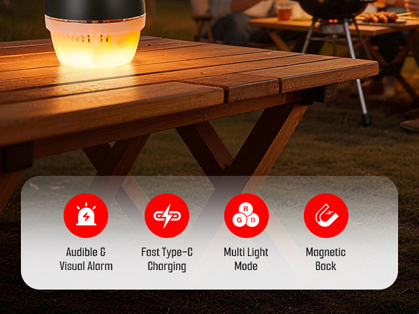 DS-X1 portable carbon monoxide detector