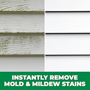 Mold Stain Removal