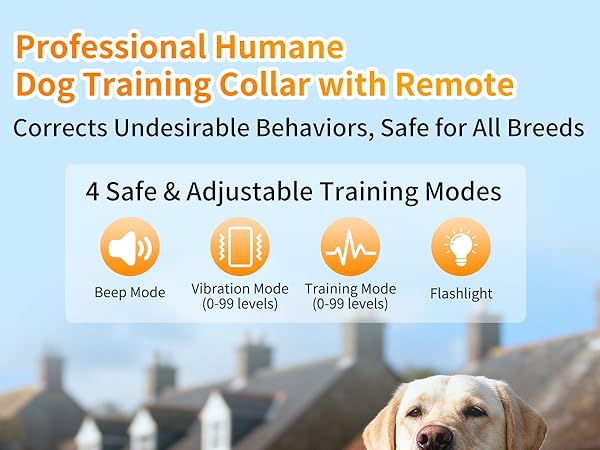 dog training collar with remote 1