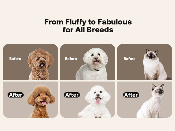 Dog Clippers for Grooming