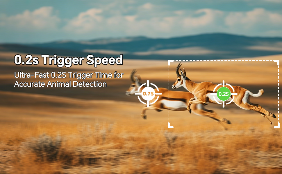 0.2s Trigger Speed