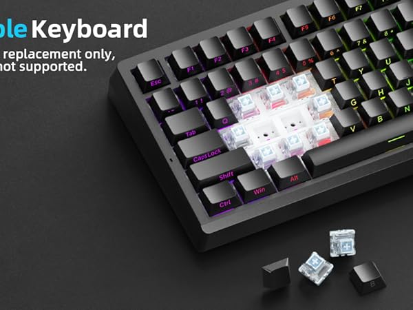 Hot swappable mechanical keyboard