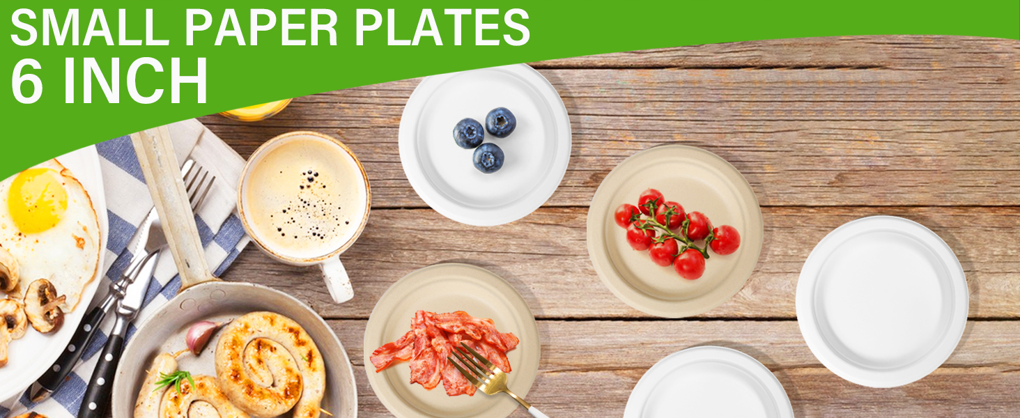 paper plates bulk