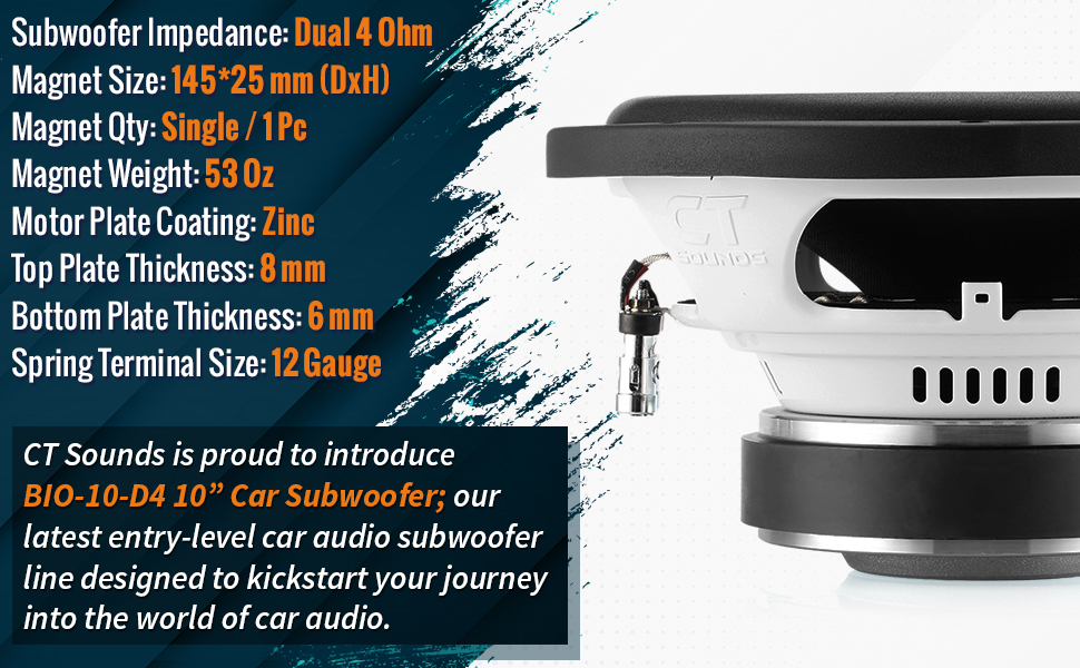 10 inch subwoofer
