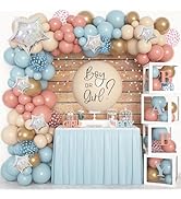 Amandir 164PCS Gender Reveal Balloon Boxes Decorations, Dusty Pink and Blue Balloon Garland Kit 4...