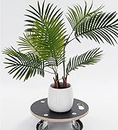 furniture moving dollies