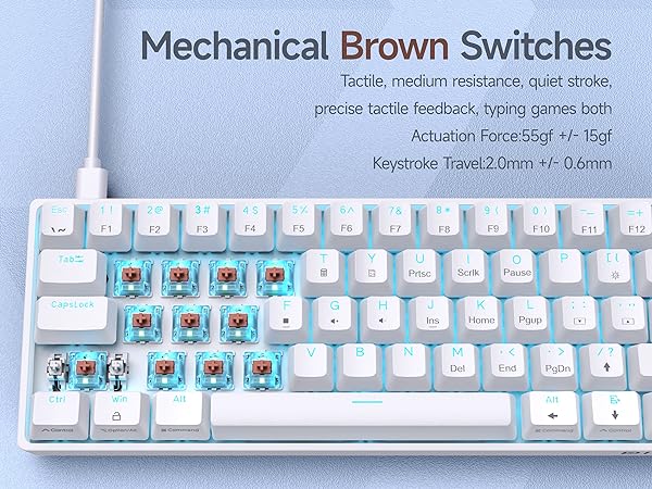DK61SE- Brown Switch