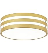 COTULIN 11.8 Inch Gold Flush Mount Ceiling Light, 3000-5000K 3CCT in One,Modern LED Ceiling Light...