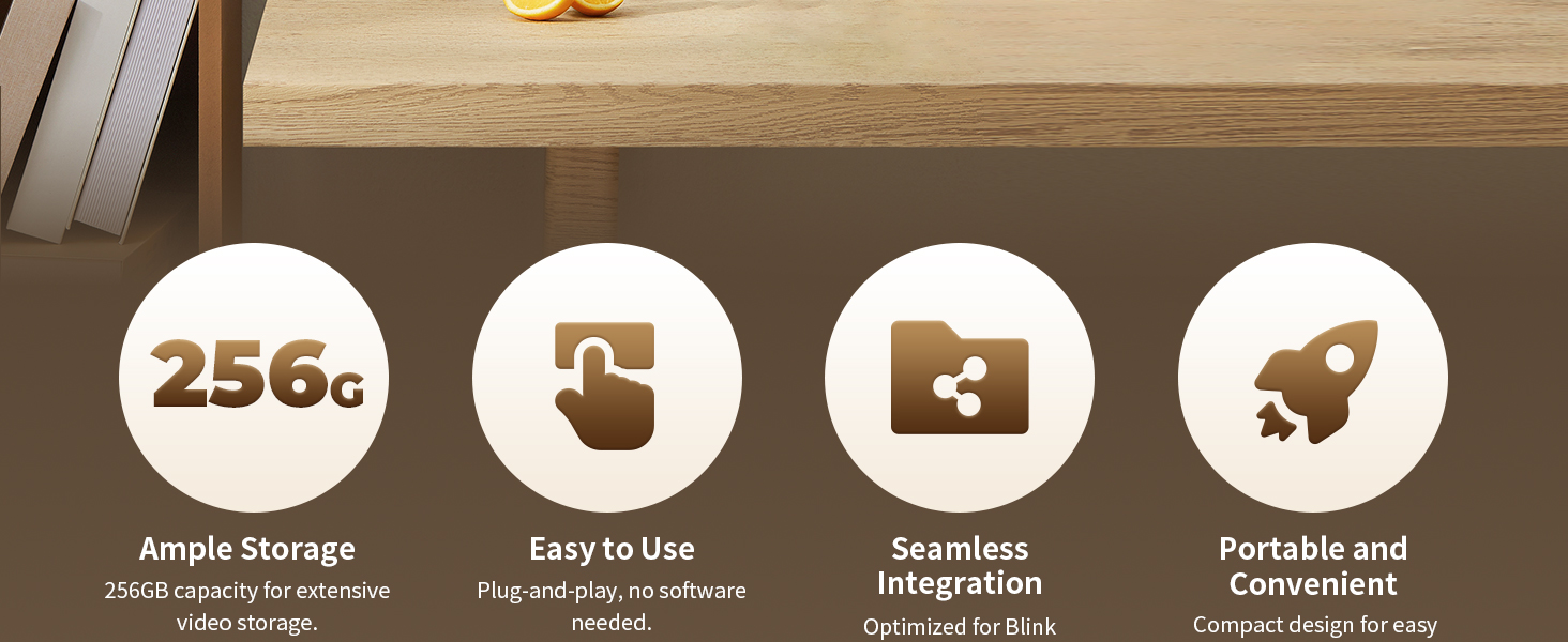 Blink Sync Module 2 Mount