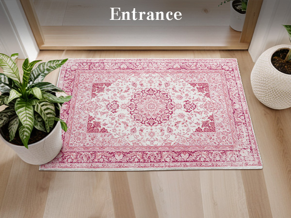 entryway rug