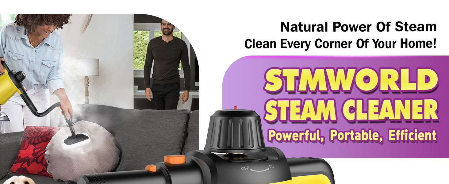 steam cleaner