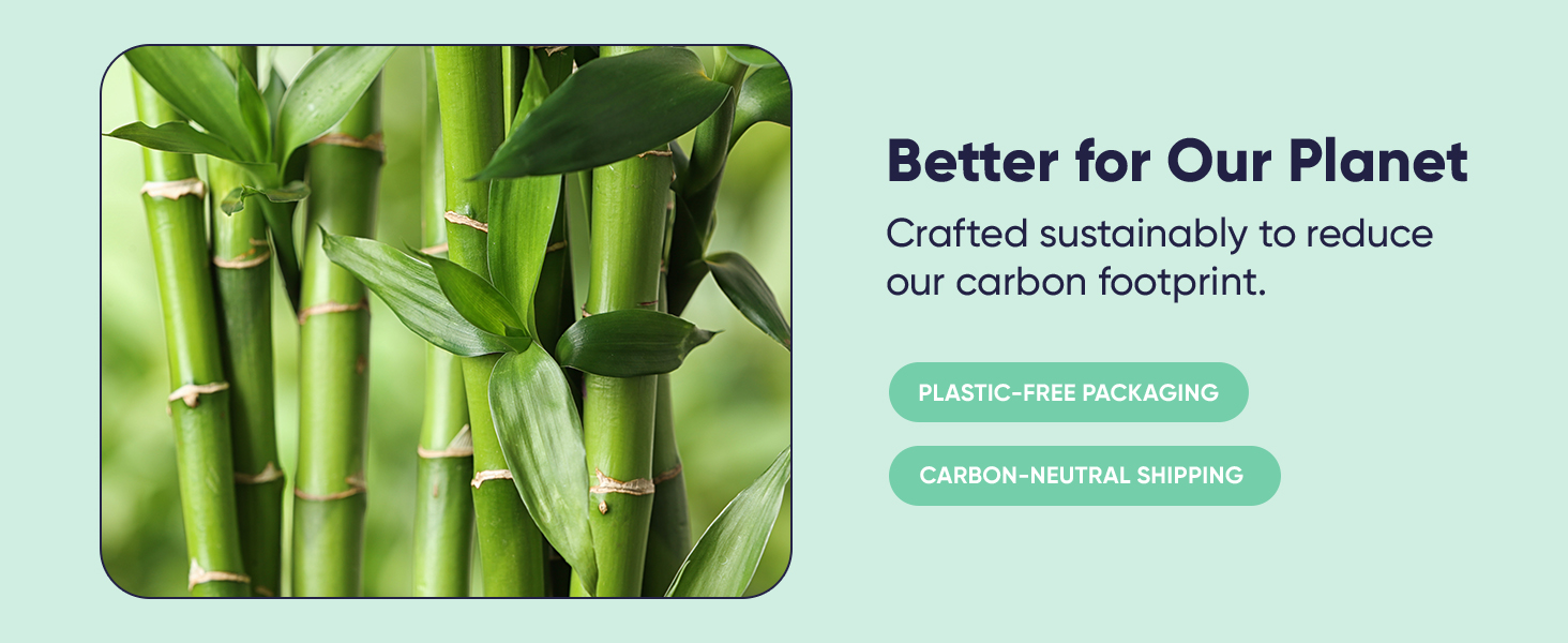 toilet paper bamboo ply free organic recycled septic safe individually wrapped sustainable products