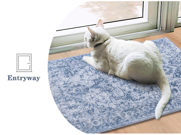entry way rugs indoor 2x3 blue white