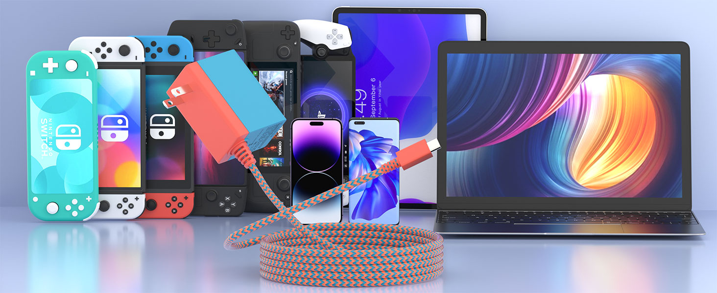 Charger for Switch
