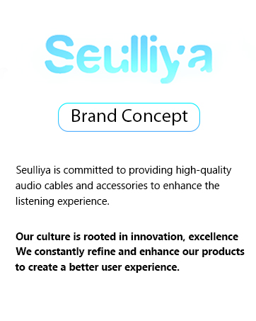 Seulliya Brand Concept