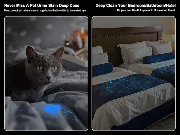 black light for pet urine detection