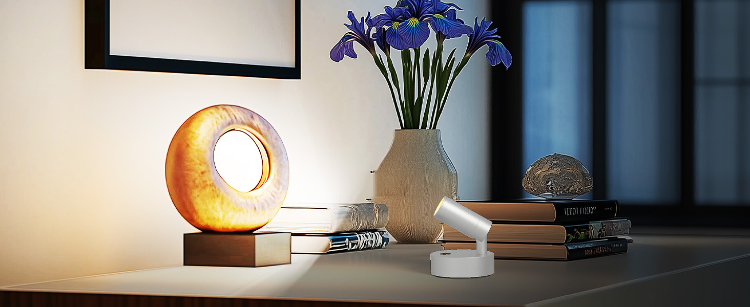 artwork spotlight indoor