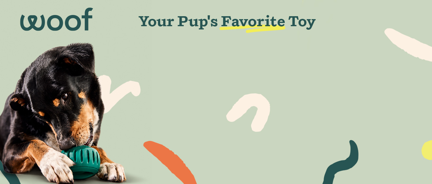 A dog stays engaged while chewing on a durable, teal treat-dispensing ball toy.