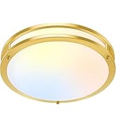 10 Inch LED Flush Mount Ceiling Light, Gold Kitchen Lighting Fixture with 2700K/3000K/4000K/5000K...